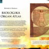 Biologika Organ Atlas (német) - Image 3