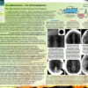 Biologika Organ Atlas (német) - Image 18