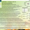 Biologika Organ Atlas (englisch) – Bild 13