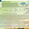 Biologika Organ Atlas (englisch) – Bild 17